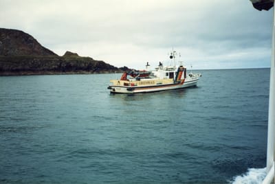 img284.jpg