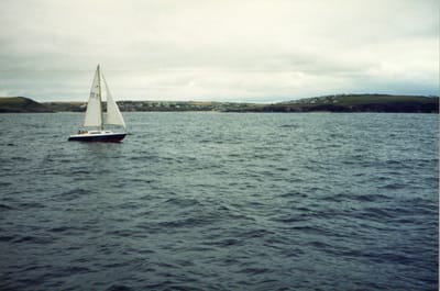 img287.jpg