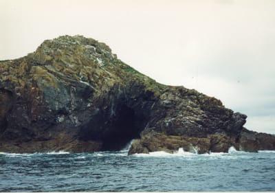 img289.jpg