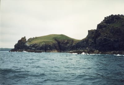 img290.jpg
