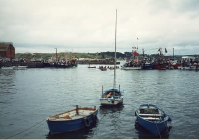 img301.jpg
