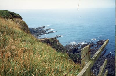img303.jpg