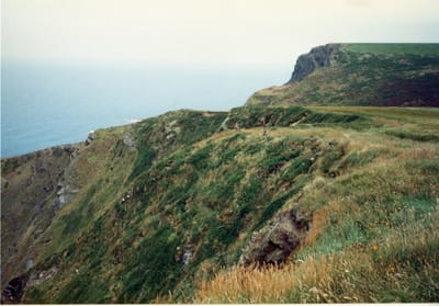 img305.jpg
