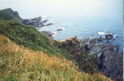 img307.jpg