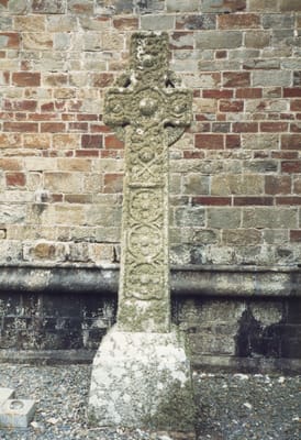 img310.jpg