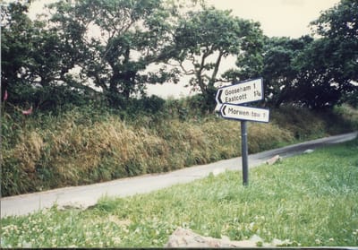 img322.jpg