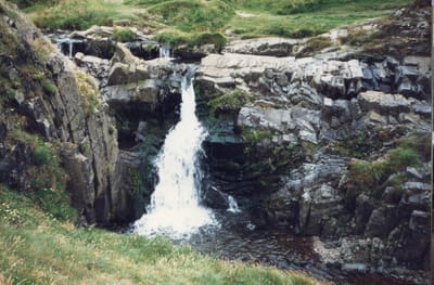 img324.jpg