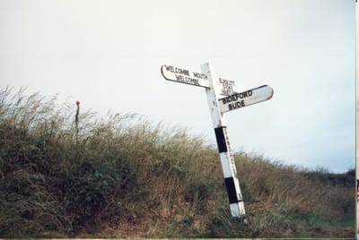 img325.jpg
