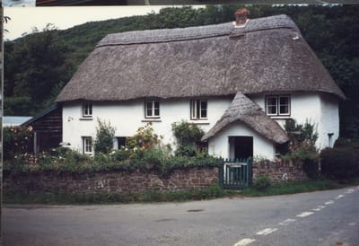 img327.jpg
