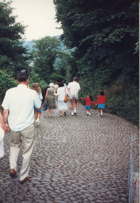 img331.jpg