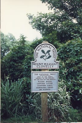 img333.jpg