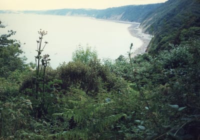 img334.jpg