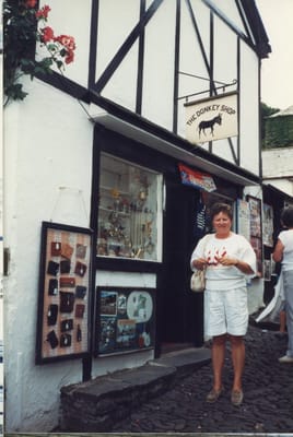 img337.jpg
