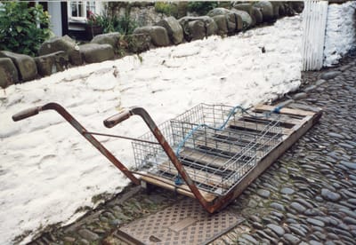 img339.jpg