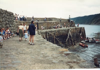 img342.jpg