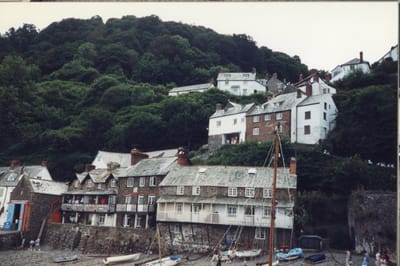 img344.jpg