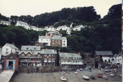 img345.jpg