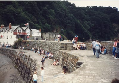 img347.jpg