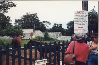 img348.jpg