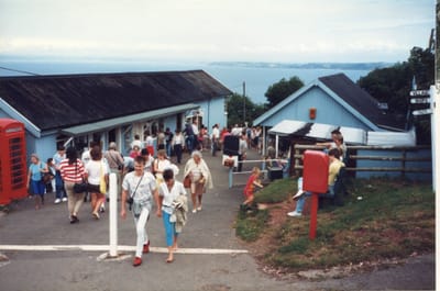 img349.jpg
