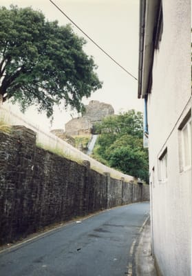 img351.jpg