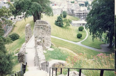 img353.jpg