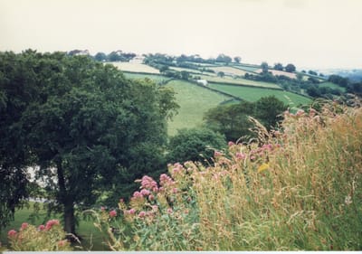 img354.jpg