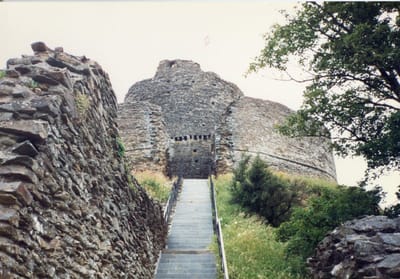 img355.jpg