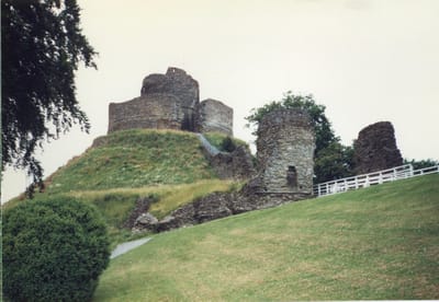 img358.jpg