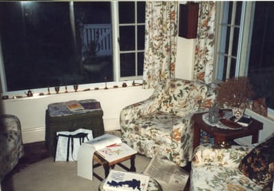 img359.jpg