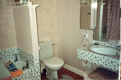 img365.jpg