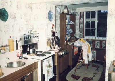 img366.jpg