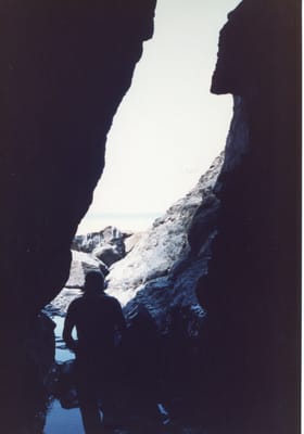 img370.jpg