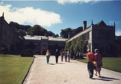 img379.jpg