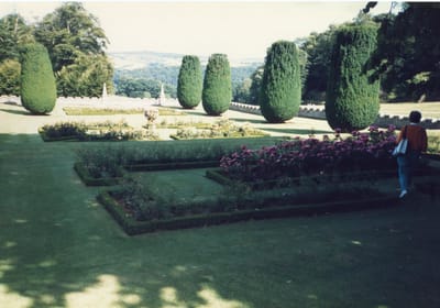 img382.jpg