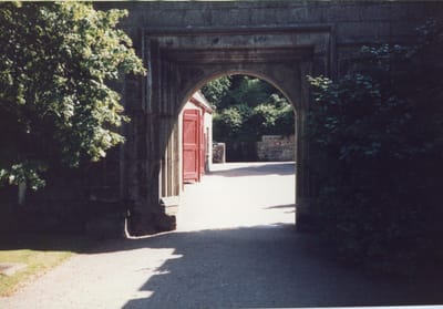 img383.jpg