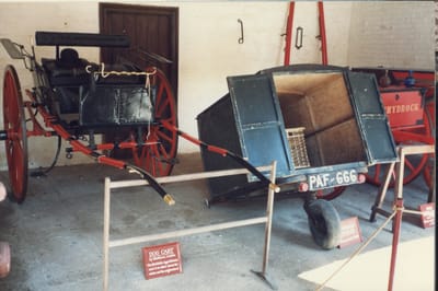 img384.jpg