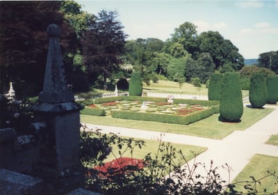img390.jpg