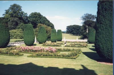 img392.jpg