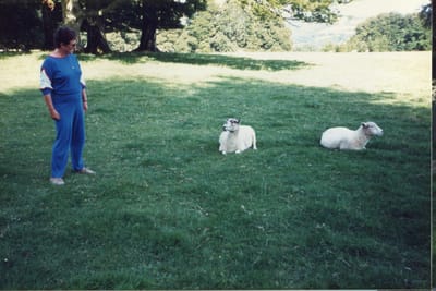img393.jpg