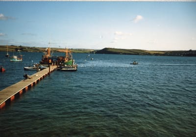 img403.jpg