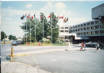 img414.jpg
