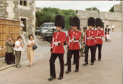 img113.jpg