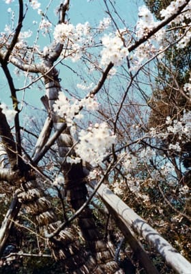 img002_2.jpg