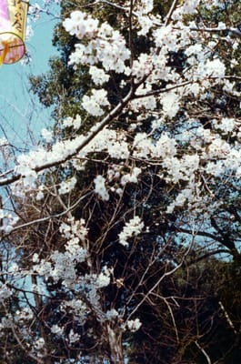 img002_3.jpg