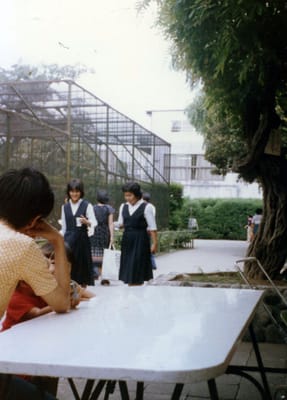 img068_2.jpg
