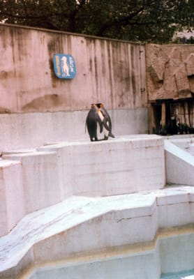 img068_3.jpg