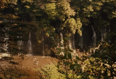 img021_2.jpg