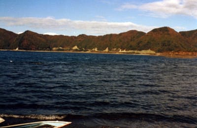 img021_3.jpg