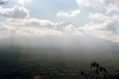img022_1.jpg